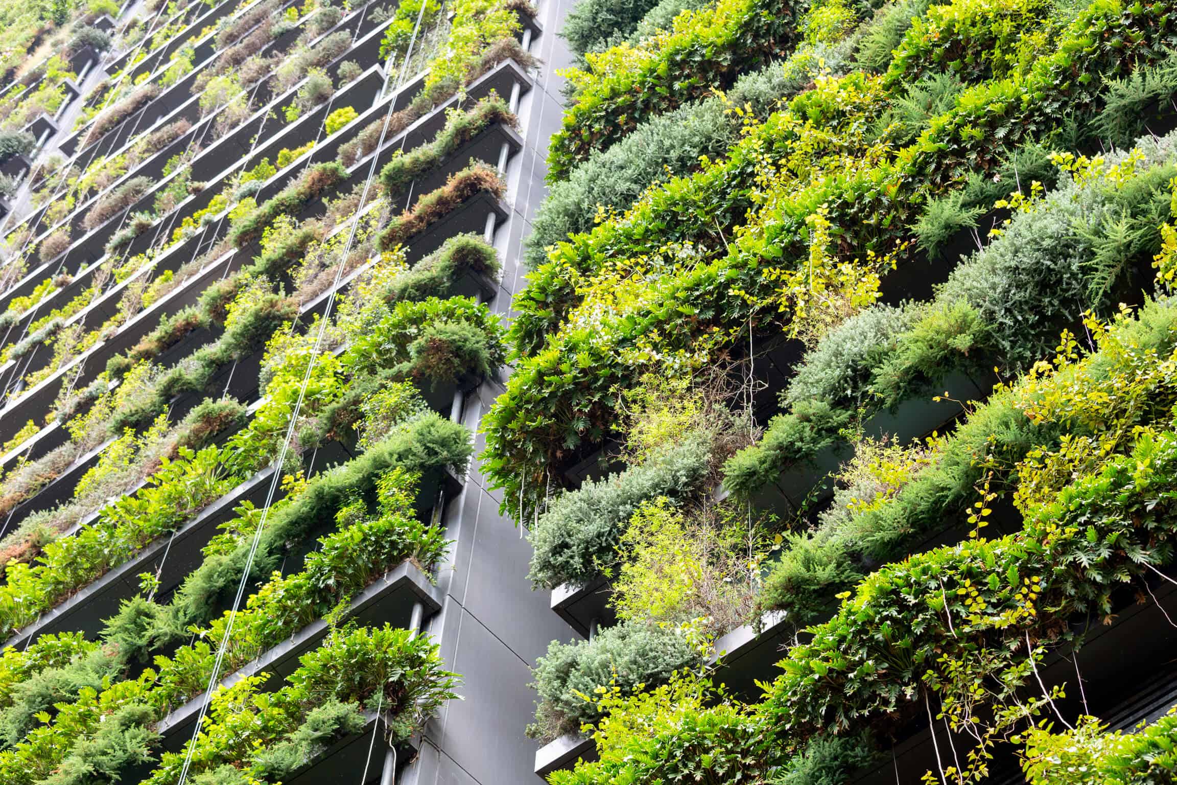 Es wird ein Quartier mit hoher Biodiversität entstehen Es wird ein Quartier mit hoher Biodiversität entstehen