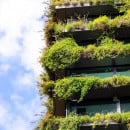 Grüne Fassaden Grüne Fassaden