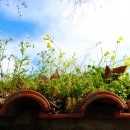 Grüne Lunge inmitten der Stadt - Eggarten Grüne Lunge inmitten der Stadt - Eggarten