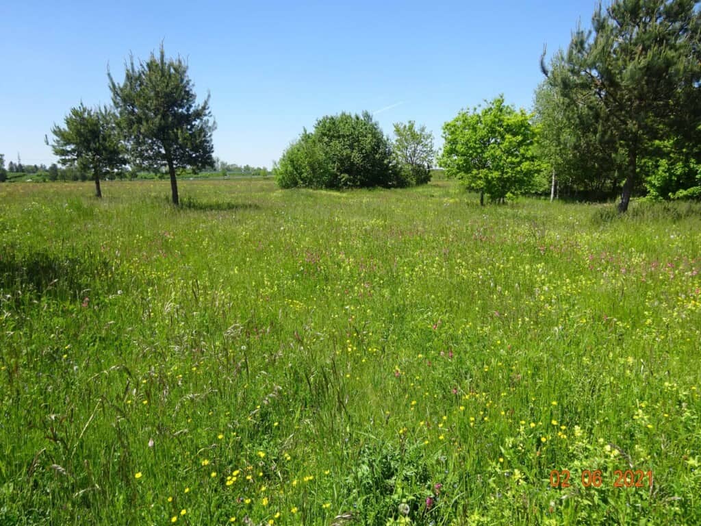 Ausgleichsflächen in der Eggartensiedlung Ausgleichsflächen in der Eggarten-Siedlung